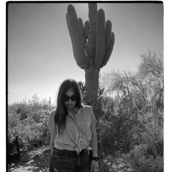 velvetdesert